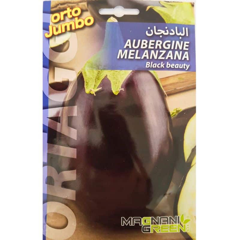 Graines d’Aubergine Black Beauty