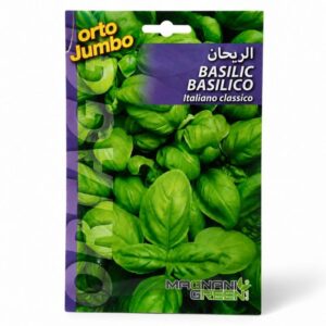 basilic italiano classico graines.jpg
