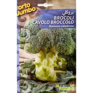 Graines de Brocoli Ramoso Calabrese