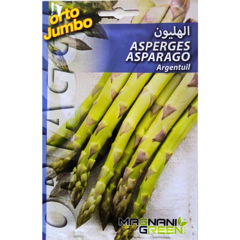 Graines d’Asperge