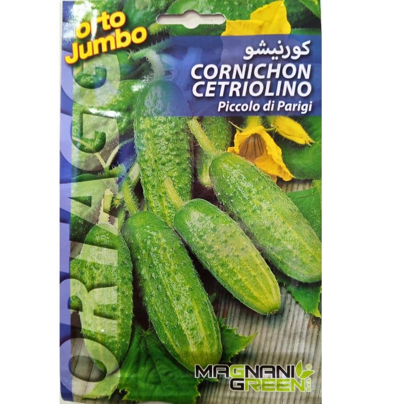 Graines de Cornichon de Paris