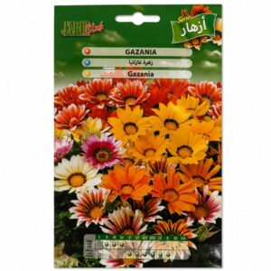 Graines de Gazania en mélange