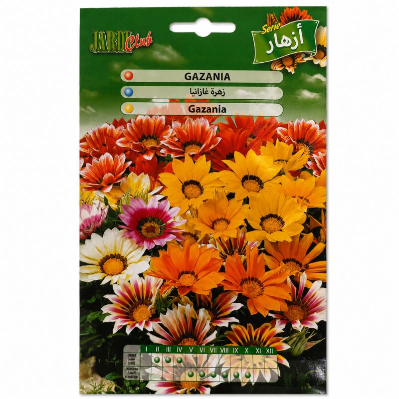 Graines de Gazania en mélange