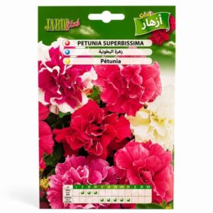 Graines de Pétunia Superbissima JardiClub