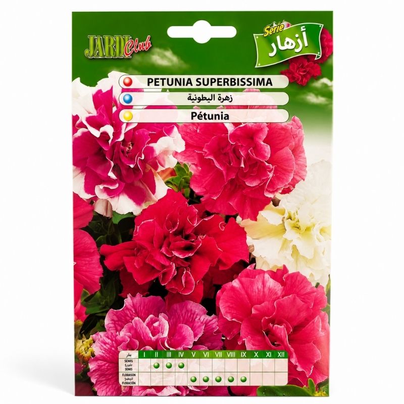 Graines de Pétunia Superbissima JardiClub