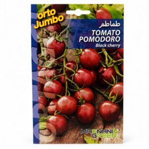 Graines de tomate Black Cherry