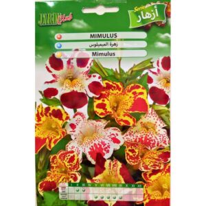 Graines de Mimulus