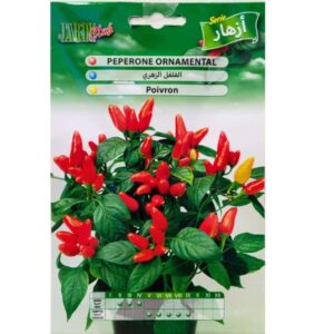 Graines de Piment d’Ornement