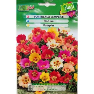 Graines de Pourpier (Portulaca grandiflora)
