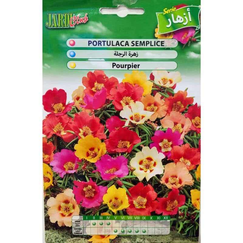 Graines de Pourpier (Portulaca grandiflora)