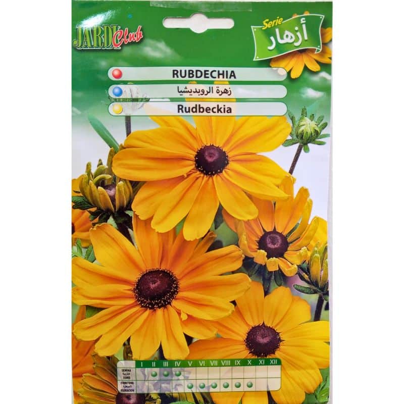 Graines de Rudbeckia