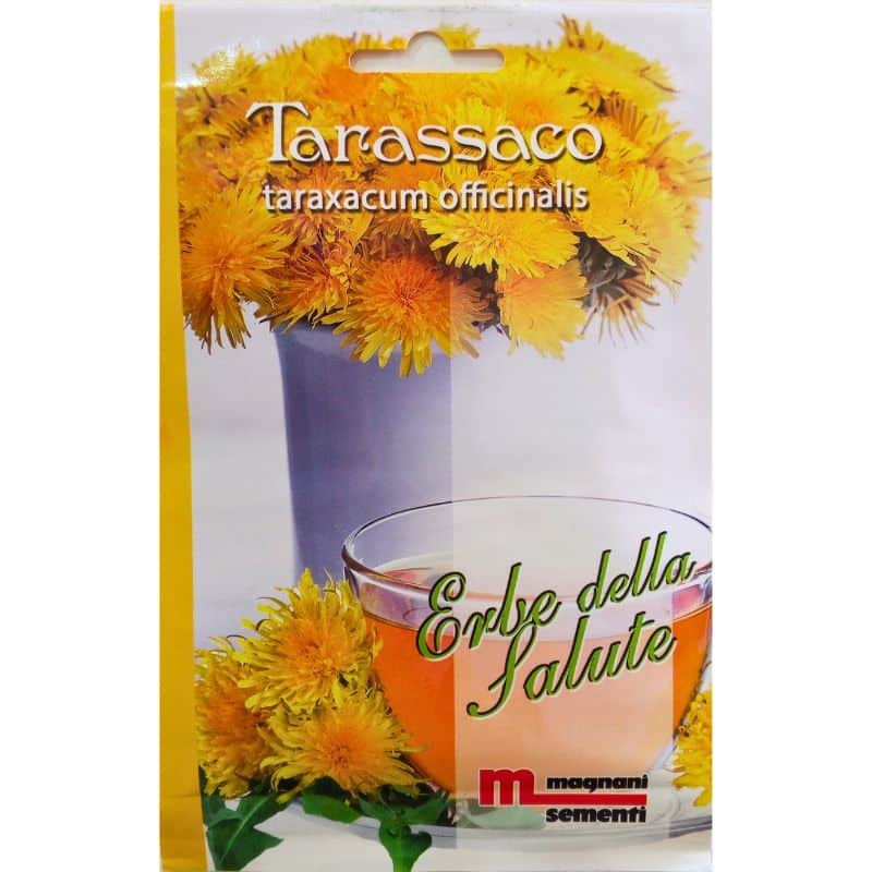Graines de Pissenlit (Taraxacum officinale)