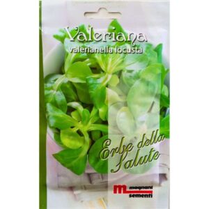 Graines de Mâche (Valerianella locusta)