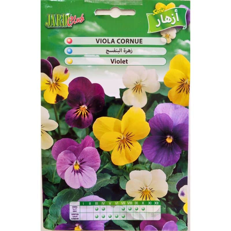 Graines de Violette Cornue