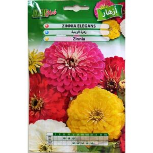 Graines de Zinnia Elegans