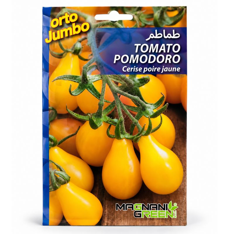 Graines de Tomate Cerise Poire Jaune – Orto Jumbo Magnani Green