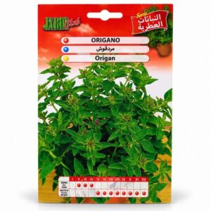 Graines d’Origan – Origanum vulgare JARDI Club