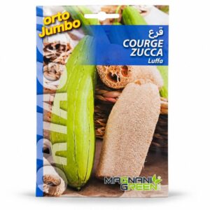graines de Luffa Cylindrica
