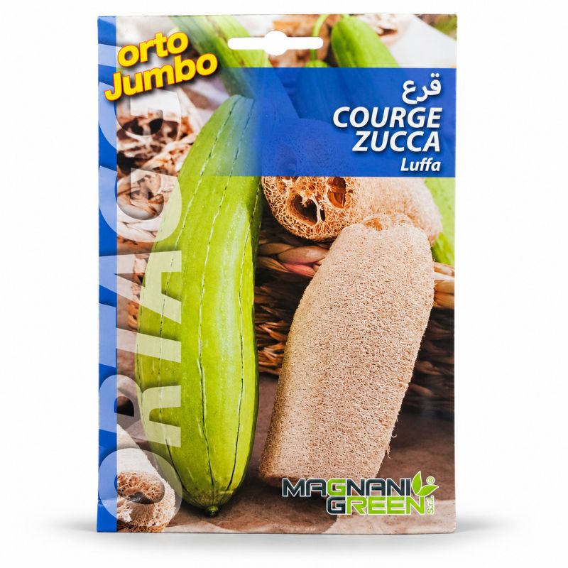graines de Luffa Cylindrica