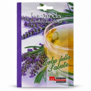 Graines de Lavande – Lavandula angustifolia – Magnani Sementi